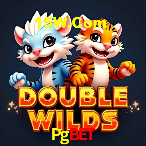 Interface Premium Pgbet
